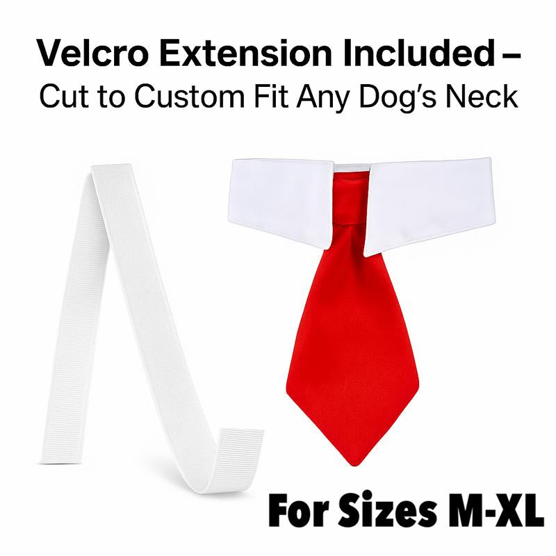 Trump Dog Costume Set - 2 Piece Hilarious Halloween Costume for Cats & Dogs with Red Tie & Blonde Wig - Easy On/Off Design for Pet Festivals